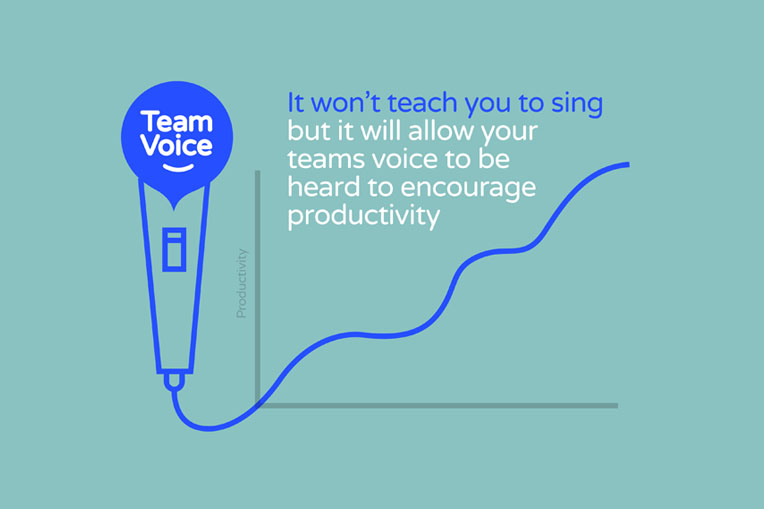 valorant team voice volume reset